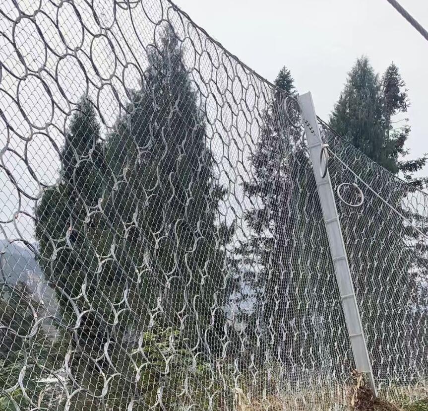 RXI型系列-被动防护网